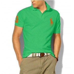 $20.00,2018 New Ralph Lauren Polo Short Sleeved T Shirts For Men in 185099