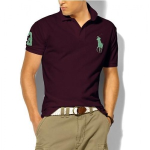 $20.00,2018 New Ralph Lauren Polo Short Sleeved T Shirts For Men in 185106