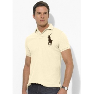 $20.00,2018 New Ralph Lauren Polo Short Sleeved T Shirts For Men in 185109