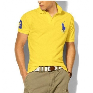 $20.00,2018 New Ralph Lauren Polo Short Sleeved T Shirts For Men in 185120