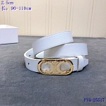 2020 Cheap Celine 2.5 cm Width Belts  # 223034, cheap Celine Belts