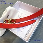 2020 Cheap Celine 2.5 cm Width Belts  # 223035, cheap Celine Belts