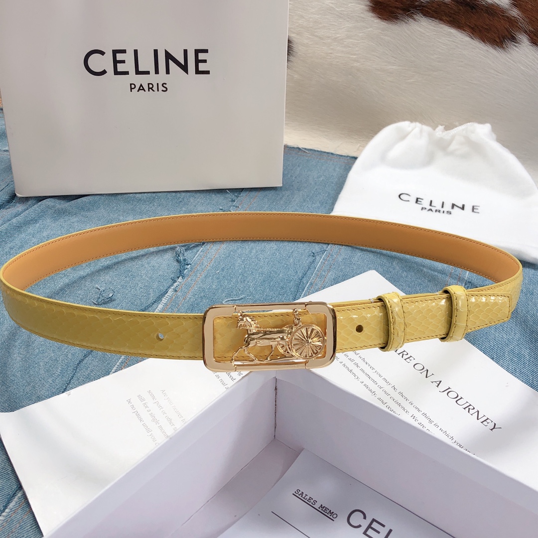 2020 Cheap 2.5cm Width Celine Belts # 227464