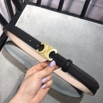 2020 Cheap 2.5cm Width Celine Belts  # 227451, cheap Celine Belts