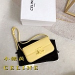 2021 Celine Shoulder Bag For Women in 244354, cheap Celine Satchels