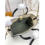 2021 Louis Vuitton Handbag For Women in 244364, cheap LV Handbags