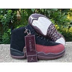 Jordan Retro 12 Sneaker Unisex in 263206