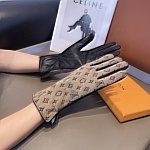 Louis Vuitton Gloves For Women # 274243, cheap Louis Vuitton Gloves