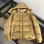 Burberry Down Jackets Unisex # 275464