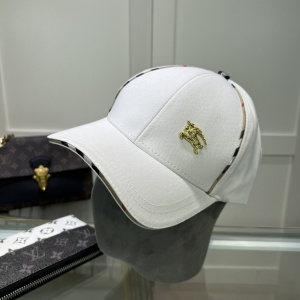 $25.00,Burberry Snapback Unisex # 276108