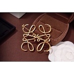 Loewe Brooch For Women # 280024