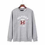 Tommy Hoodies For Men # 281874