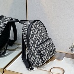 Dior Backpacks  # 282541, cheap Dior Backpacks