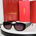 Cartier Sunglasses  # 287123