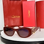 Cartier Sunglasses  # 287124