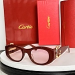 Cartier Sunglasses  # 287125