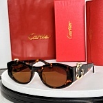 Cartier Sunglasses  # 287126