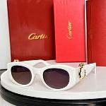 Cartier Sunglasses  # 287127
