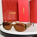 Cartier Sunglasses  # 287129