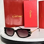 Cartier Sunglasses  # 287135