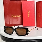 Cartier Sunglasses  # 287136