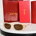Cartier Sunglasses  # 287137