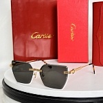 Cartier Sunglasses  # 287139
