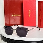 Cartier Sunglasses  # 287140
