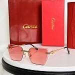 Cartier Sunglasses  # 287141