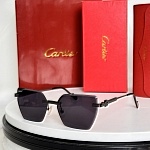 Cartier Sunglasses  # 287142