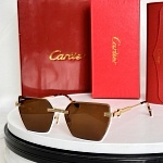 Cartier Sunglasses  # 287143