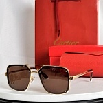 Cartier Sunglasses  # 287146