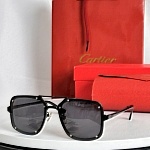 Cartier Sunglasses  # 287149