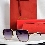 Cartier Sunglasses  # 287150