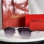 Cartier Sunglasses  # 287151