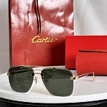 Cartier Sunglasses  # 287152
