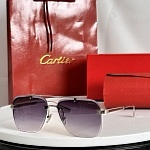 Cartier Sunglasses  # 287155