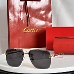 Cartier Sunglasses  # 287156