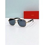 Cartier Sunglasses  # 287164