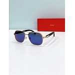 Cartier Sunglasses  # 287165