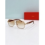 Cartier Sunglasses  # 287168