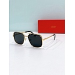 Cartier Sunglasses  # 287170