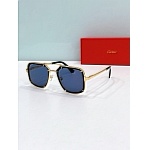 Cartier Sunglasses  # 287171
