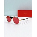 Cartier Sunglasses  # 287188