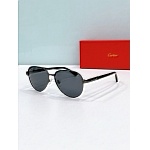 Cartier Sunglasses  # 287190