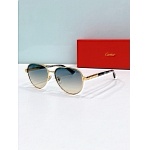 Cartier Sunglasses  # 287191