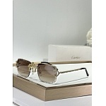 Cartier Sunglasses  # 287205