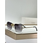 Cartier Sunglasses  # 287210