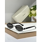 Cartier Sunglasses  # 287215