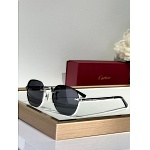 Cartier Sunglasses  # 287222